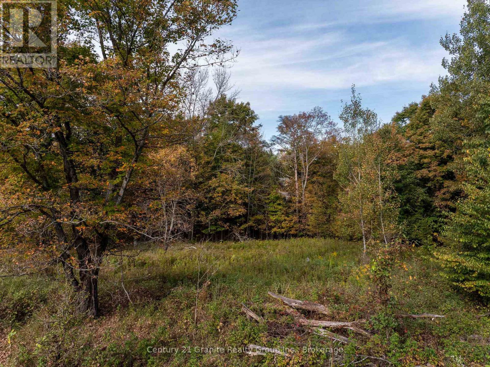 Pt 2 Tom Bolton Road, Minden Hills, Ontario  K0M 2K0 - Photo 7 - X12088339