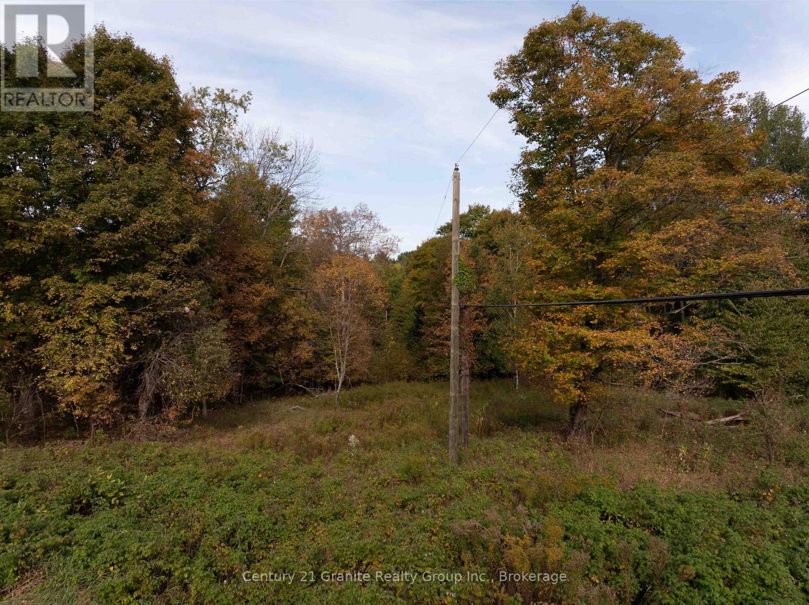 Pt 2 Tom Bolton Road, Minden Hills, Ontario  K0M 2K0 - Photo 8 - X12088339
