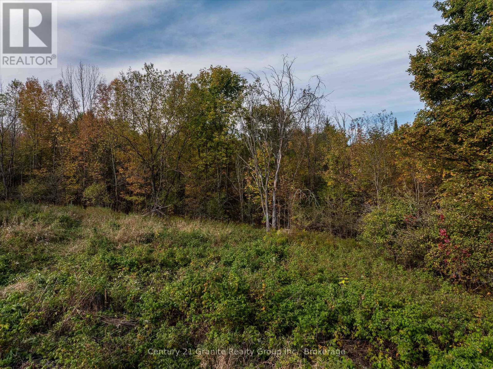 Pt 2 Tom Bolton Road, Minden Hills, Ontario  K0M 2K0 - Photo 9 - X12088339