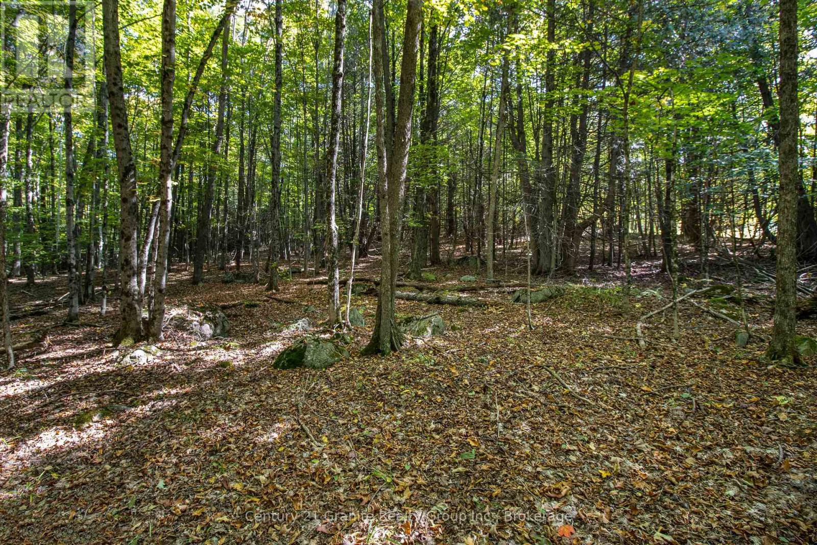 Pt 3 Tom Bolton Road, Minden Hills, Ontario  K0M 2K0 - Photo 10 - X12088340