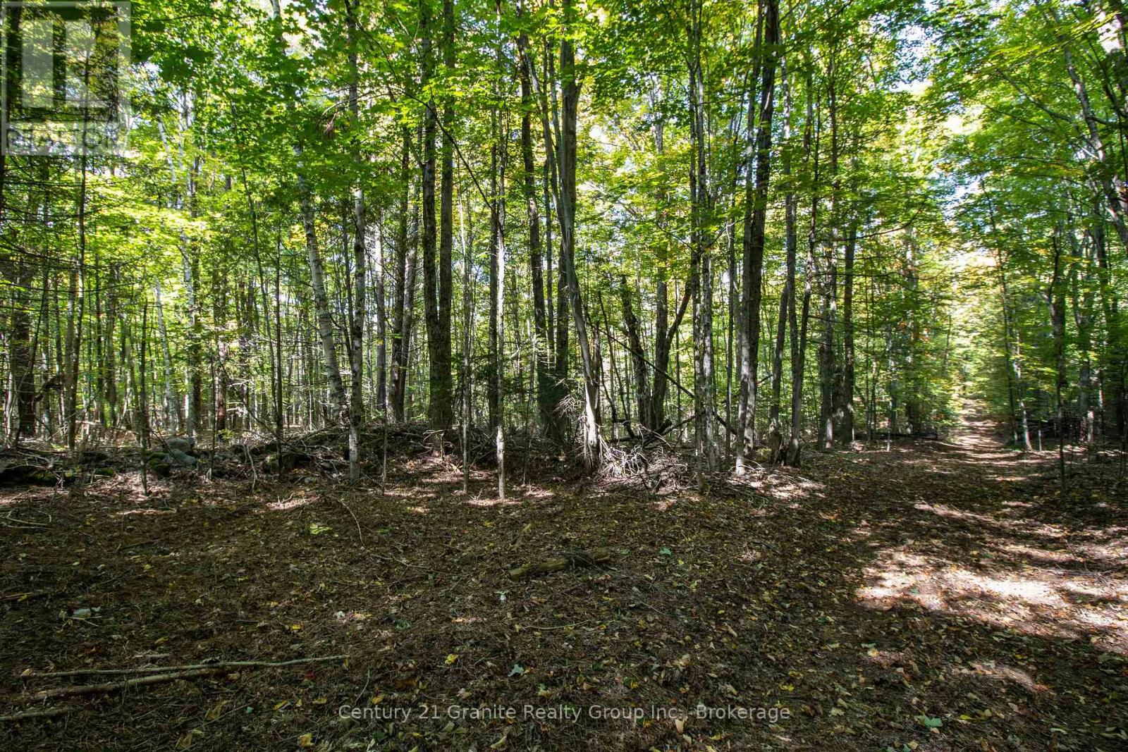 Pt 3 Tom Bolton Road, Minden Hills, Ontario  K0M 2K0 - Photo 12 - X12088340