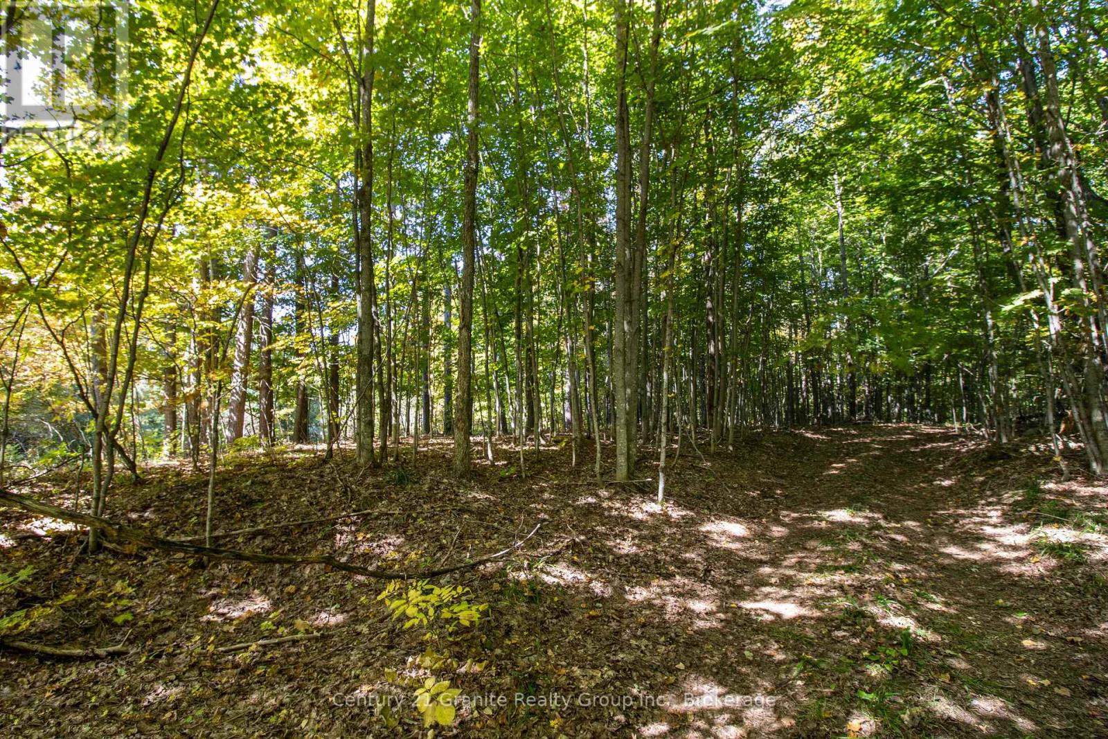 Pt 3 Tom Bolton Road, Minden Hills, Ontario  K0M 2K0 - Photo 13 - X12088340