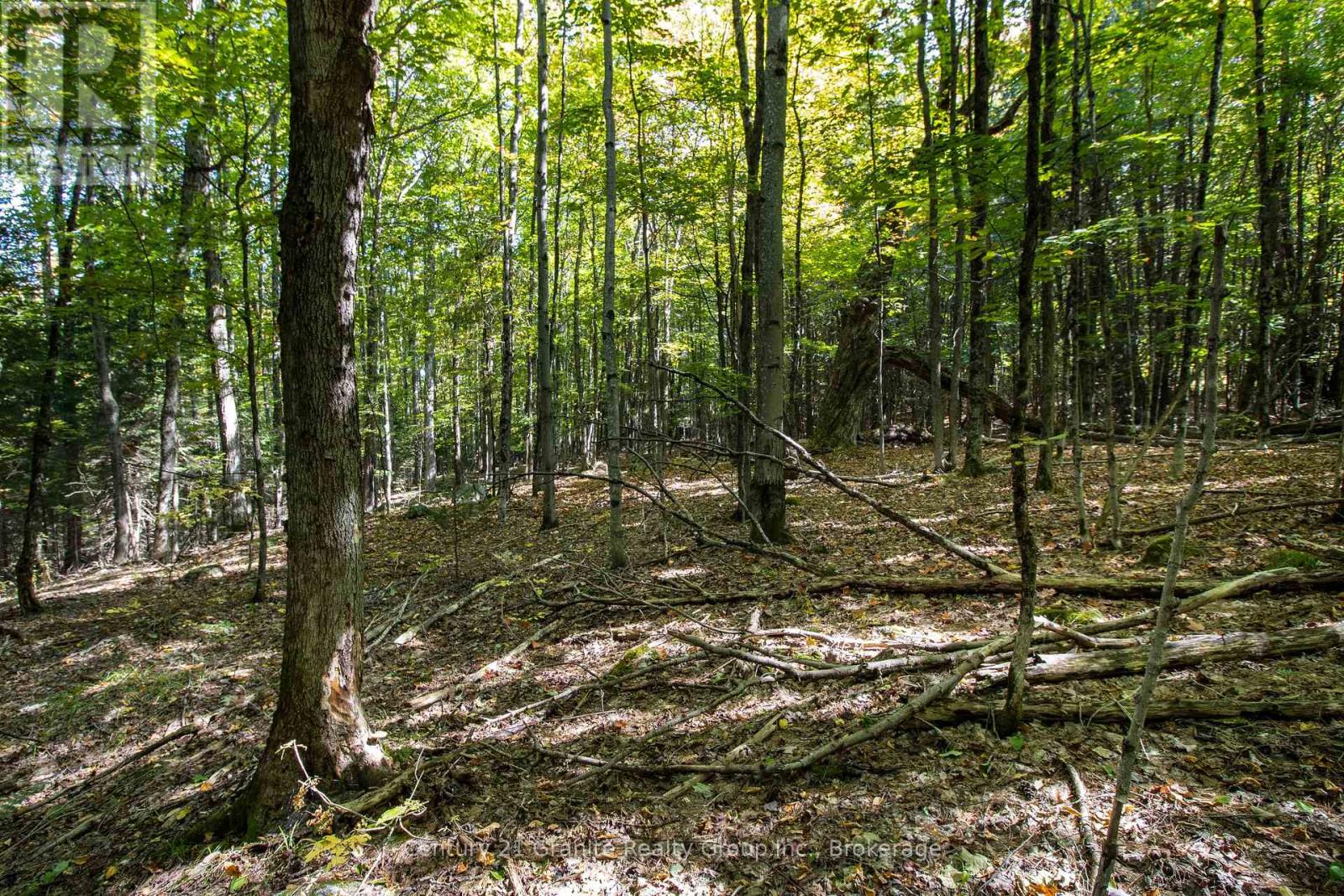 Pt 3 Tom Bolton Road, Minden Hills, Ontario  K0M 2K0 - Photo 9 - X12088340
