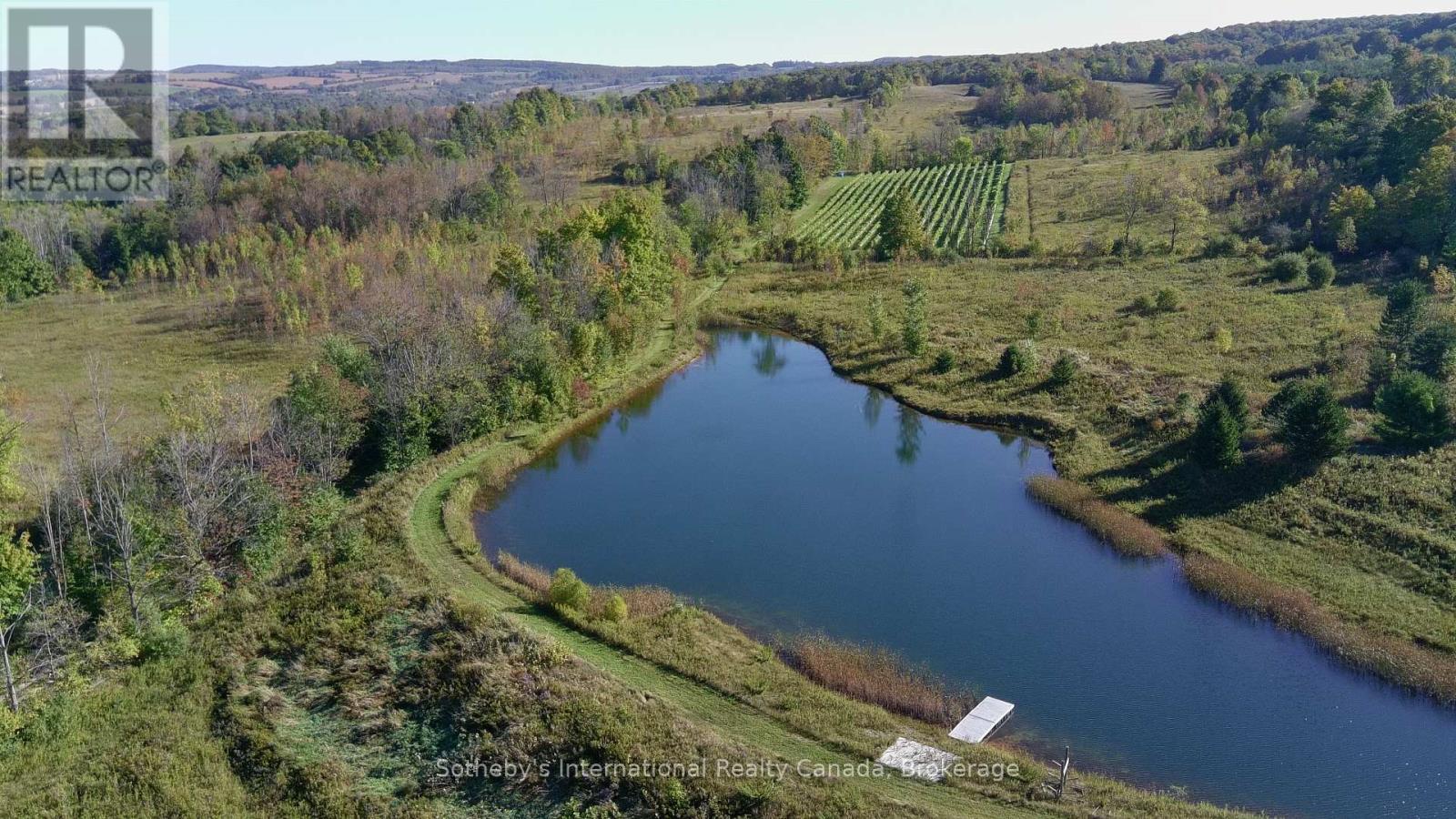 415763 10th Line, Blue Mountains, Ontario  N0H 1J0 - Photo 5 - X12088341