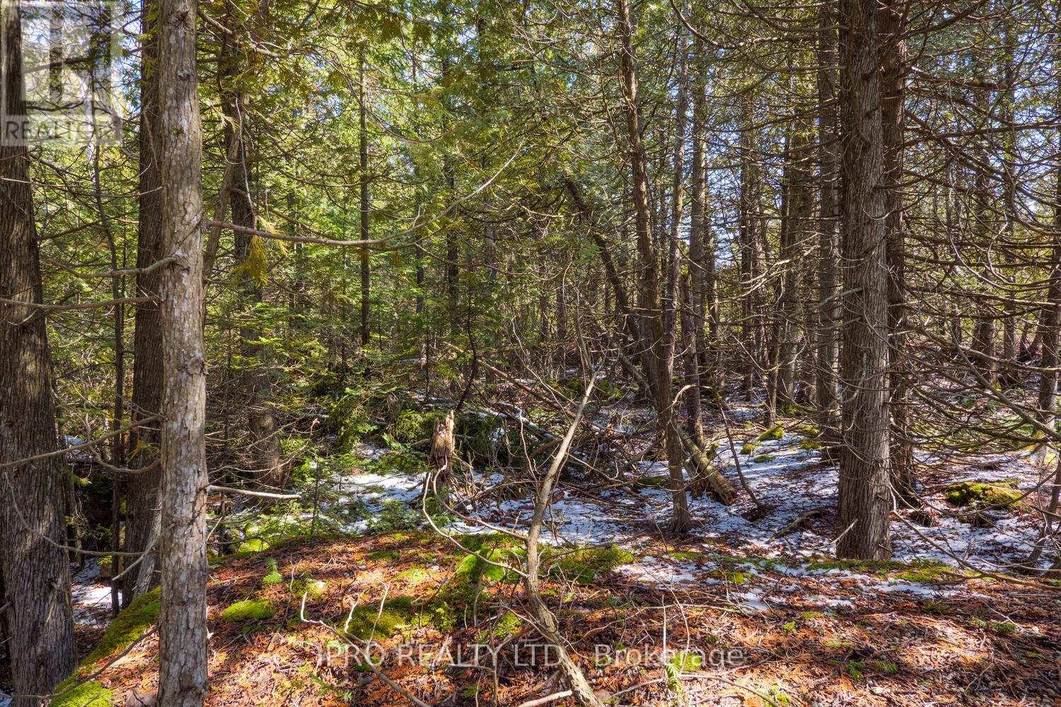 74 Big Tub Road, Northern Bruce Peninsula, Ontario  N0H 2R0 - Photo 23 - X12088280