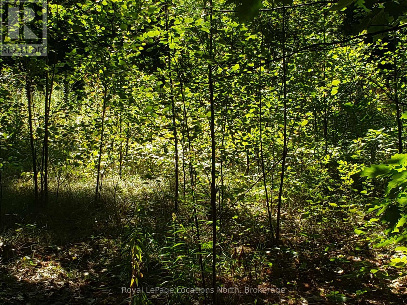 23 Stoney Road, Tiny, Ontario  L9M 0H2 - Photo 4 - S12088477