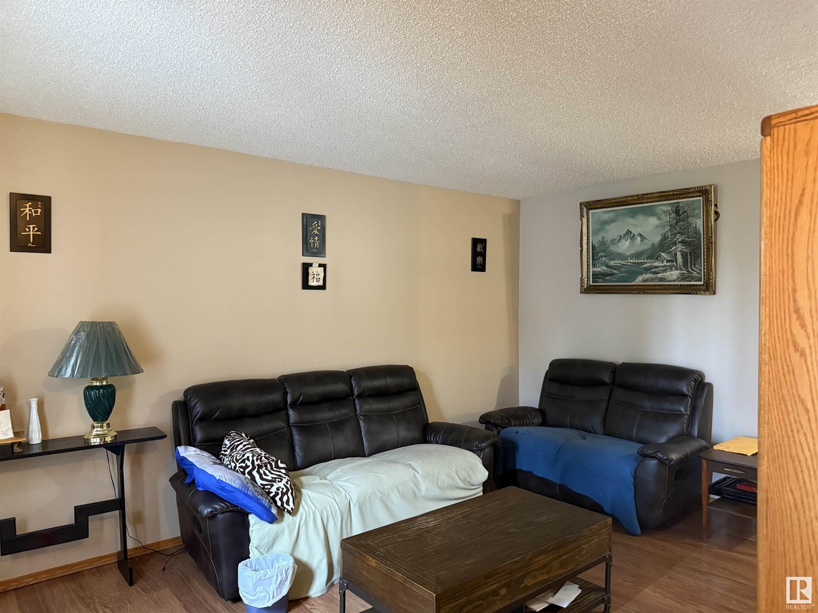 5219 49 St, Waskatenau, Alberta  T0A 3P0 - Photo 4 - E4431165
