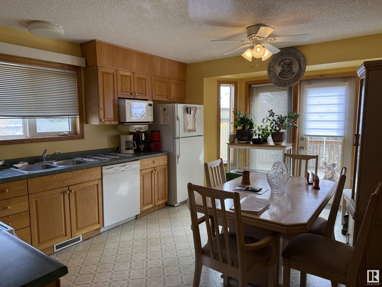 5219 49 St, Waskatenau, Alberta  T0A 3P0 - Photo 9 - E4431165