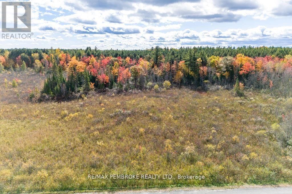 000 Marsh Road, North Algona Wilberforce, Ontario  K8A 6W4 - Photo 10 - X12088680
