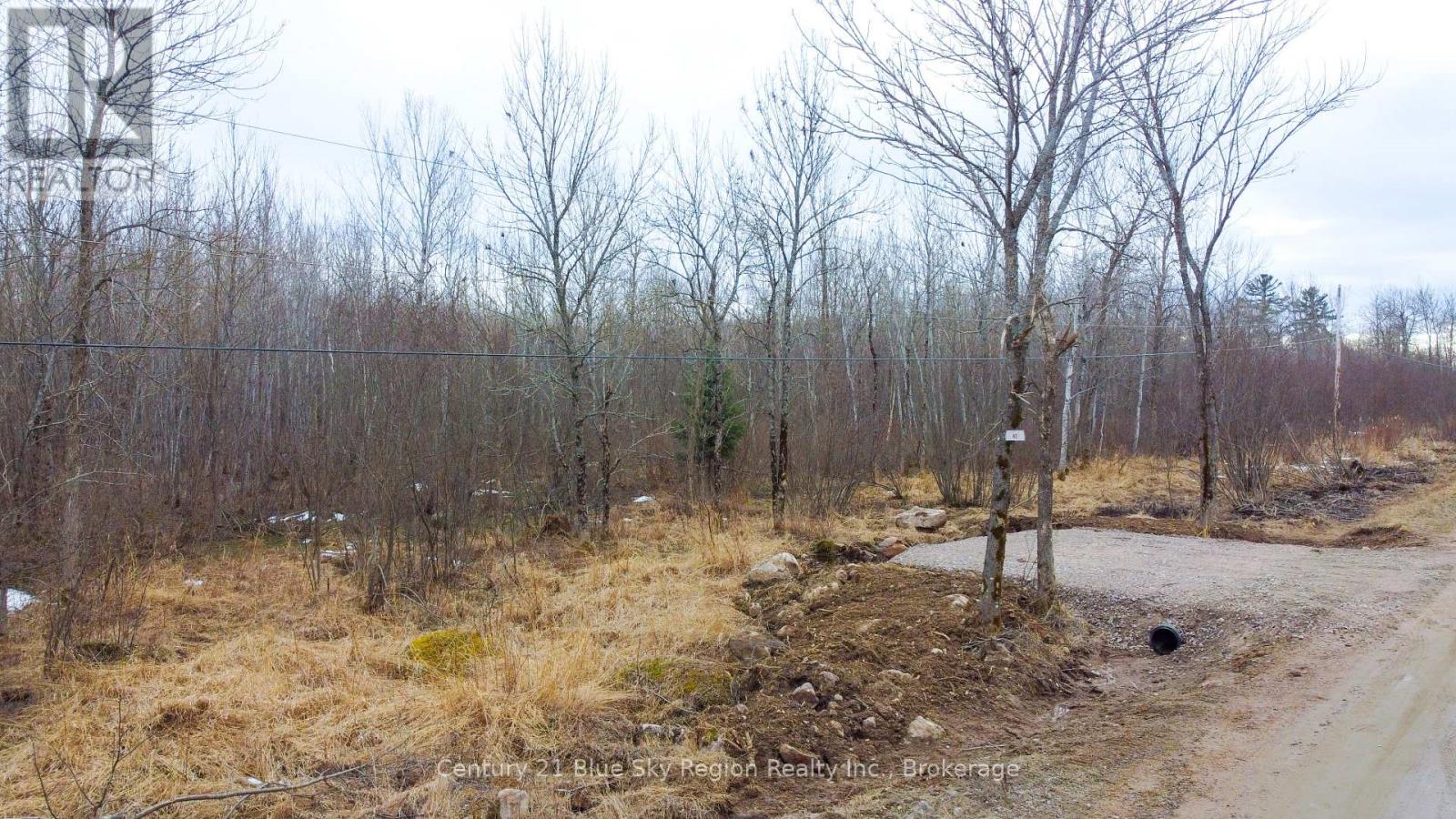 Lot 3 Hills Siding Road, Callander, Ontario  P0K 1H0 - Photo 3 - X12088761