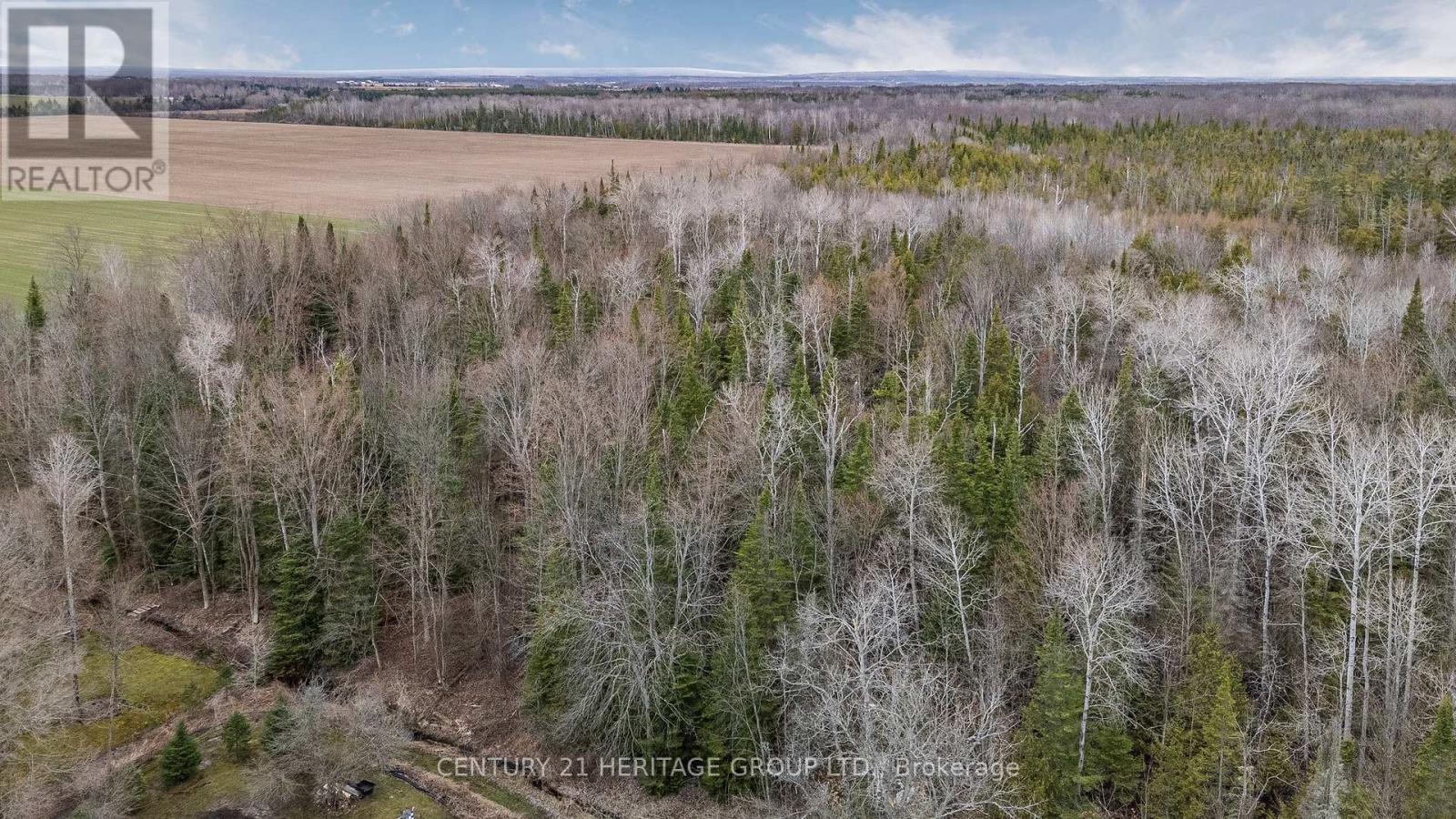 1328 Strongville Road, Clearview, Ontario  L0M 1S0 - Photo 49 - S12088686