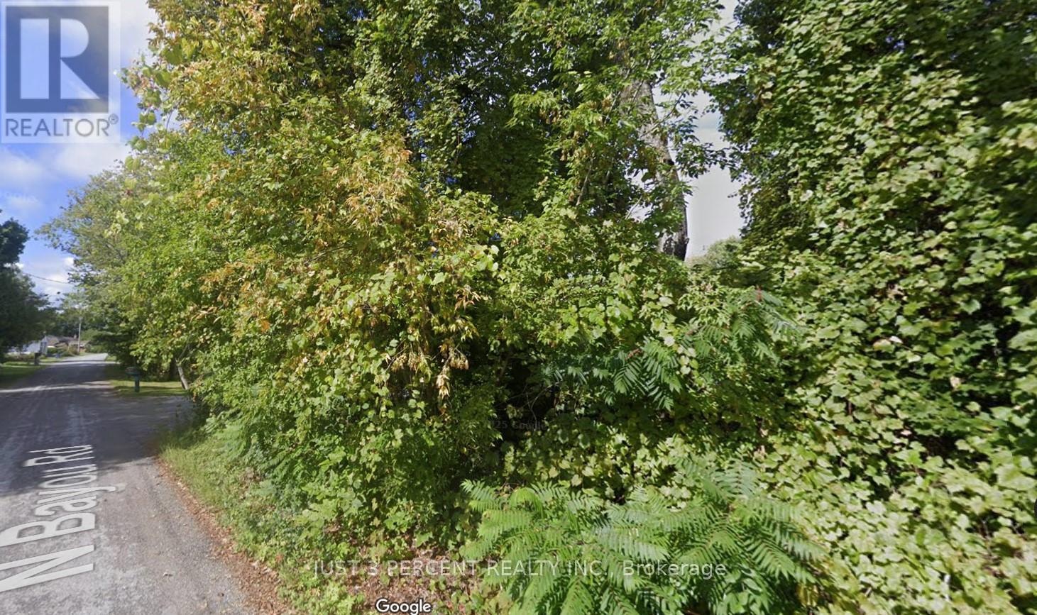 N/a North Bayou Road, Kawartha Lakes, Ontario  K0M 1N0 - Photo 4 - X12088972