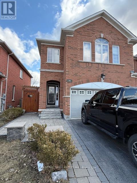 Basement Apt - 29 Aikenhead Avenue, Richmond Hill, Ontario  L4S 0C6 - Photo 17 - N12074825