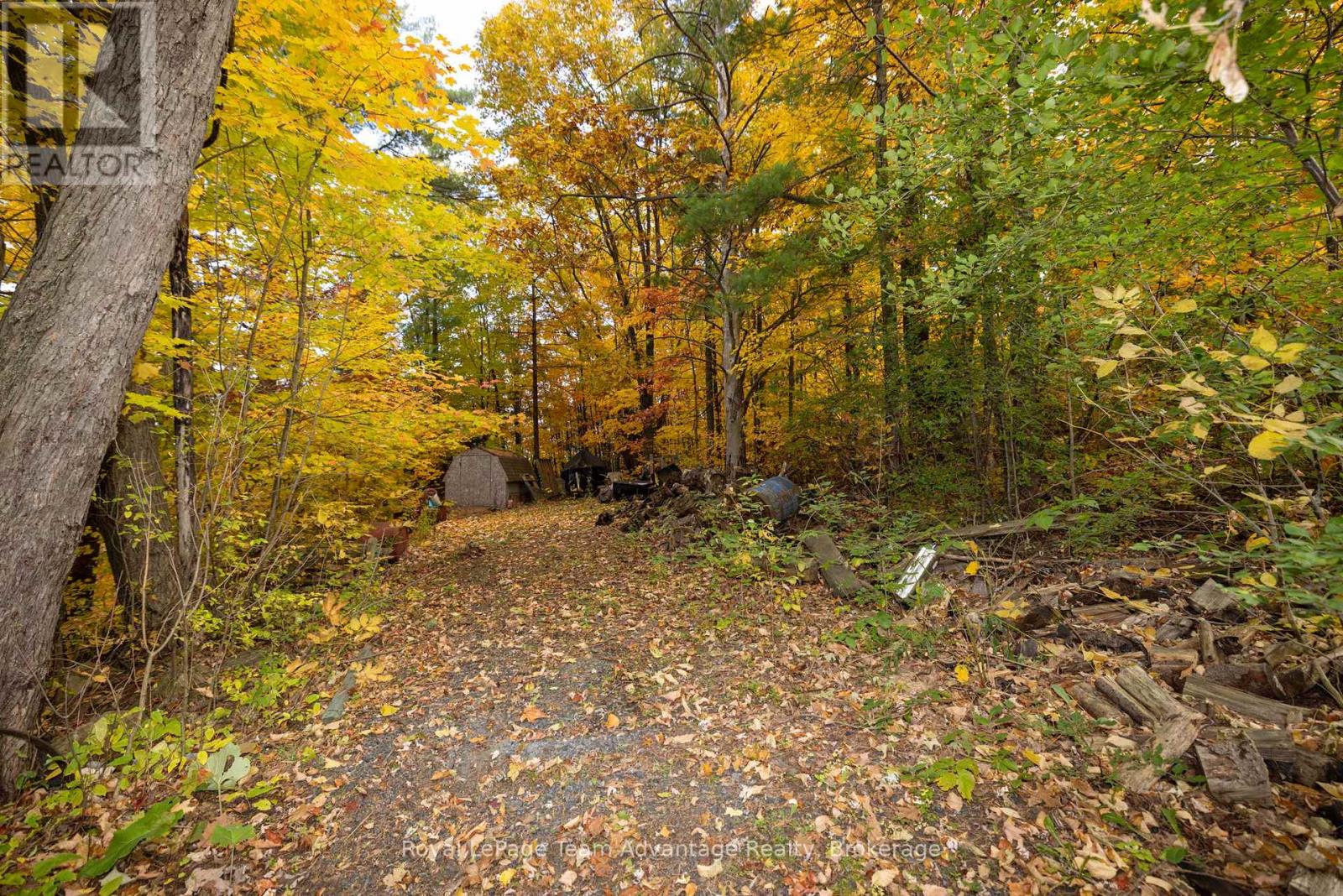 4 George Street, Parry Sound, Ontario  P2A 2M1 - Photo 39 - X12088931