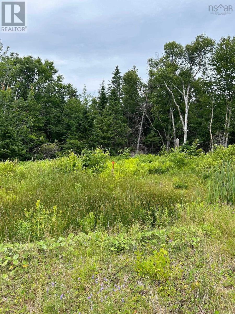 Lot 30 Militia Point Road, Militia Point, Nova Scotia  B0E 2Y0 - Photo 20 - 202508186