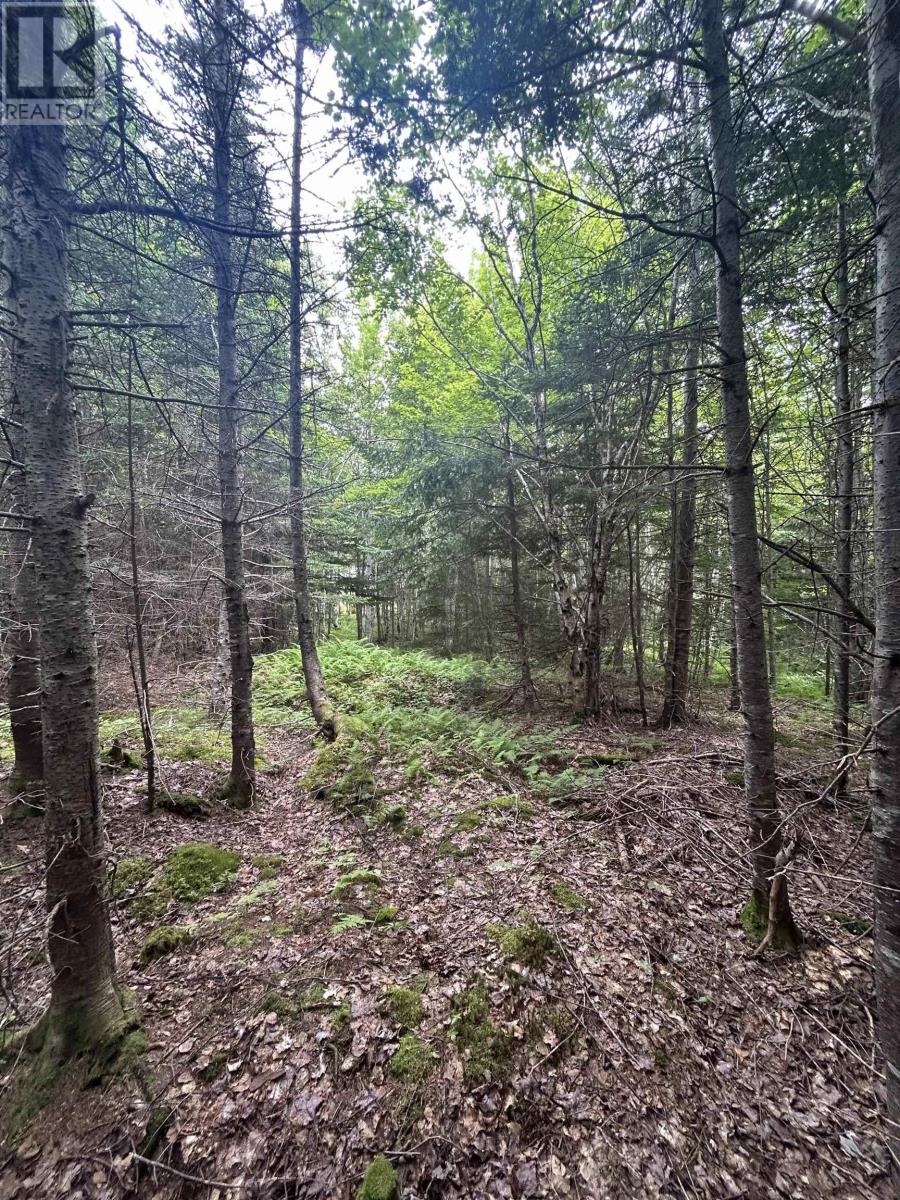 Lot 31 Militia Point Road, Militia Point, Nova Scotia  B0E 2Y0 - Photo 24 - 202508185