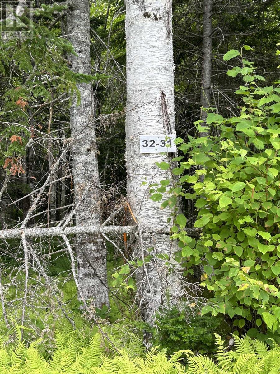 Lot 31 Militia Point Road, Militia Point, Nova Scotia  B0E 2Y0 - Photo 25 - 202508185