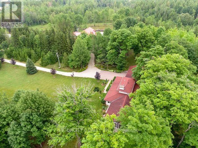 348050 Concession 4b, Grey Highlands, Ontario  N0C 1J0 - Photo 20 - X12088869