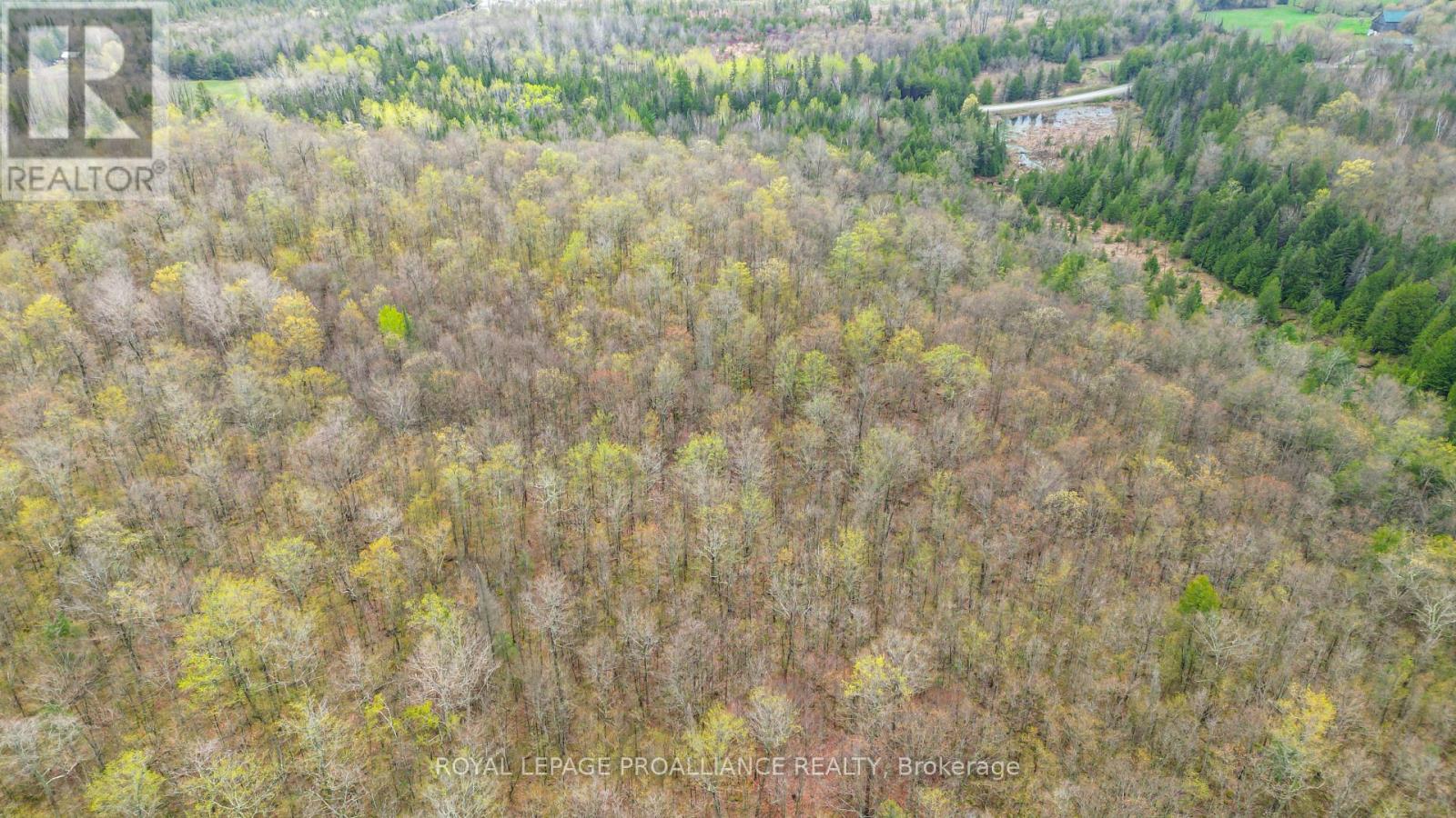 0 Spry Settlement Road, Stirling-Rawdon, Ontario  K0K 2M0 - Photo 5 - X12089041