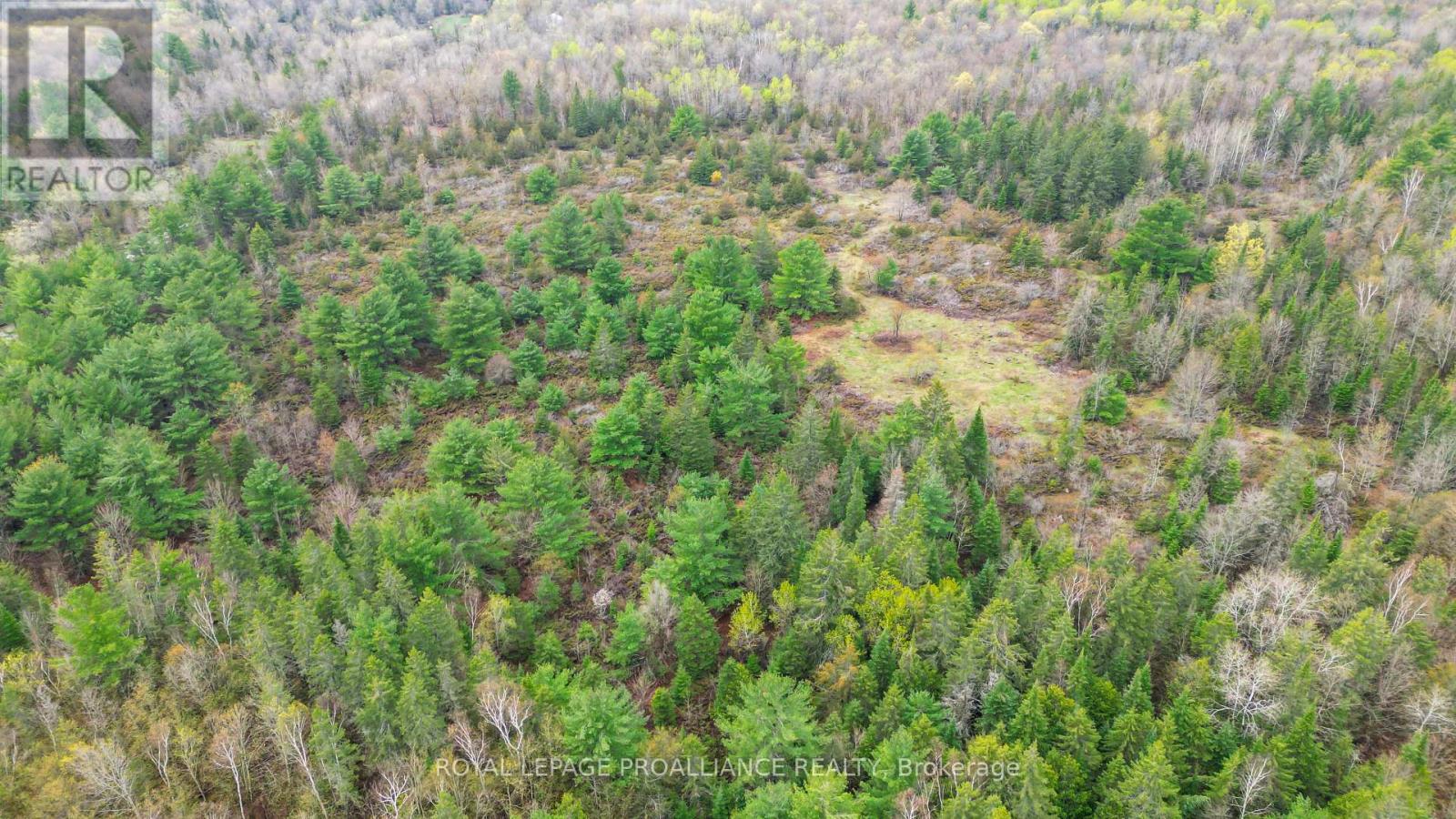 0 Spry Settlement Road, Stirling-Rawdon, Ontario  K0K 2M0 - Photo 8 - X12089041