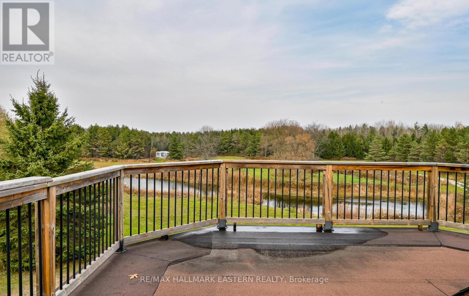 1108 Sandy Hook Road, Kawartha Lakes, Ontario  L0A 1K0 - Photo 41 - X12089044