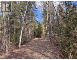 PTLT133 CONC1, Grey Highlands, Ontario