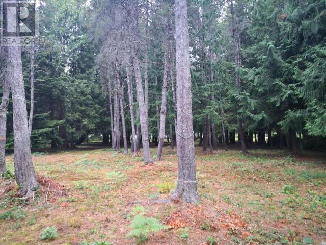 5382-Lot B Manson Ave, Powell River, British Columbia  V8A 3P4 - Photo 7 - 18889