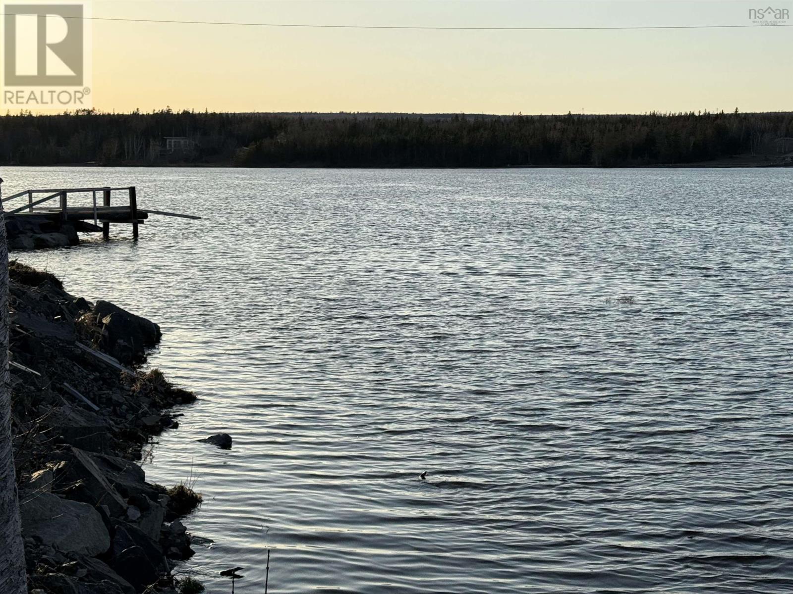 0 Grand Mira South Road, Juniper Mountain, Nova Scotia B1X 1H3 - Photo 36 - 202508217