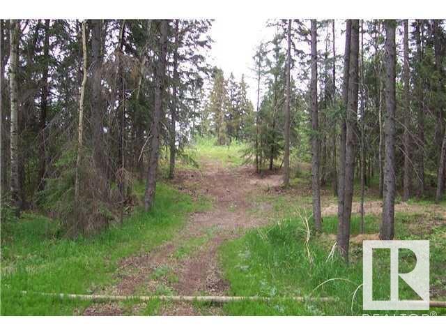 33 57108 Range Road 220, Rural Sturgeon County, Alberta  T0A 2W0 - Photo 2 - E4431406
