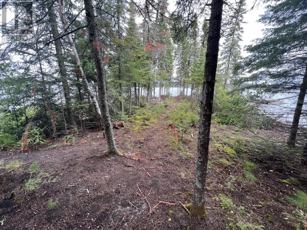 14 Island Canyon Lake, Vermilion Bay, Ontario  P0V 2V0 - Photo 22 - TB232839