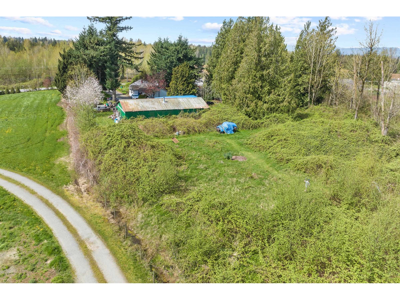 4162 Bradner Road, Abbotsford, British Columbia  V4X 1S8 - Photo 32 - R2991333