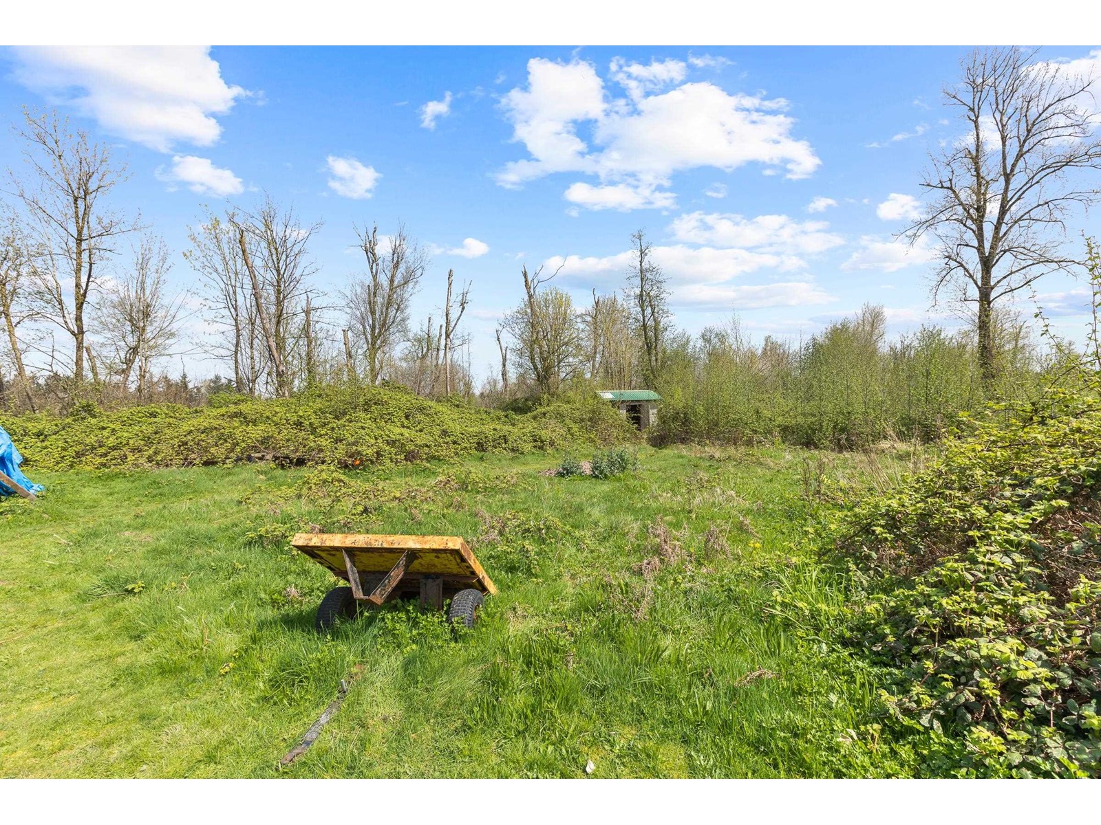 4162 Bradner Road, Abbotsford, British Columbia  V4X 1S8 - Photo 28 - R2991333
