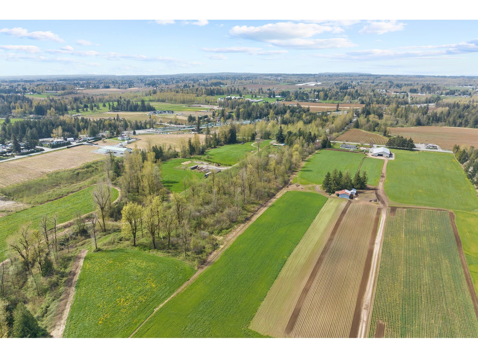 Property at 4162 BRADNER ROAD image 3