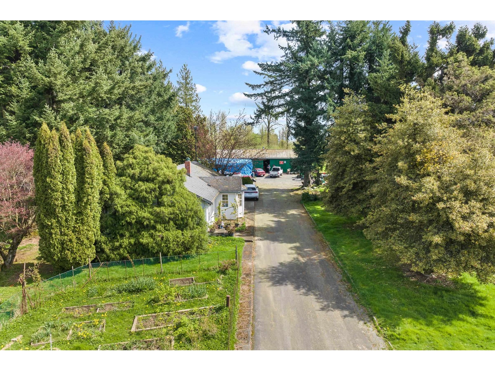 4162 Bradner Road, Abbotsford, British Columbia  V4X 1S8 - Photo 9 - R2991333
