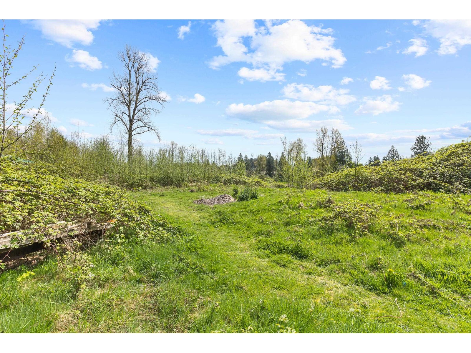 4162 Bradner Road, Abbotsford, British Columbia  V4X 1S8 - Photo 29 - R2991333