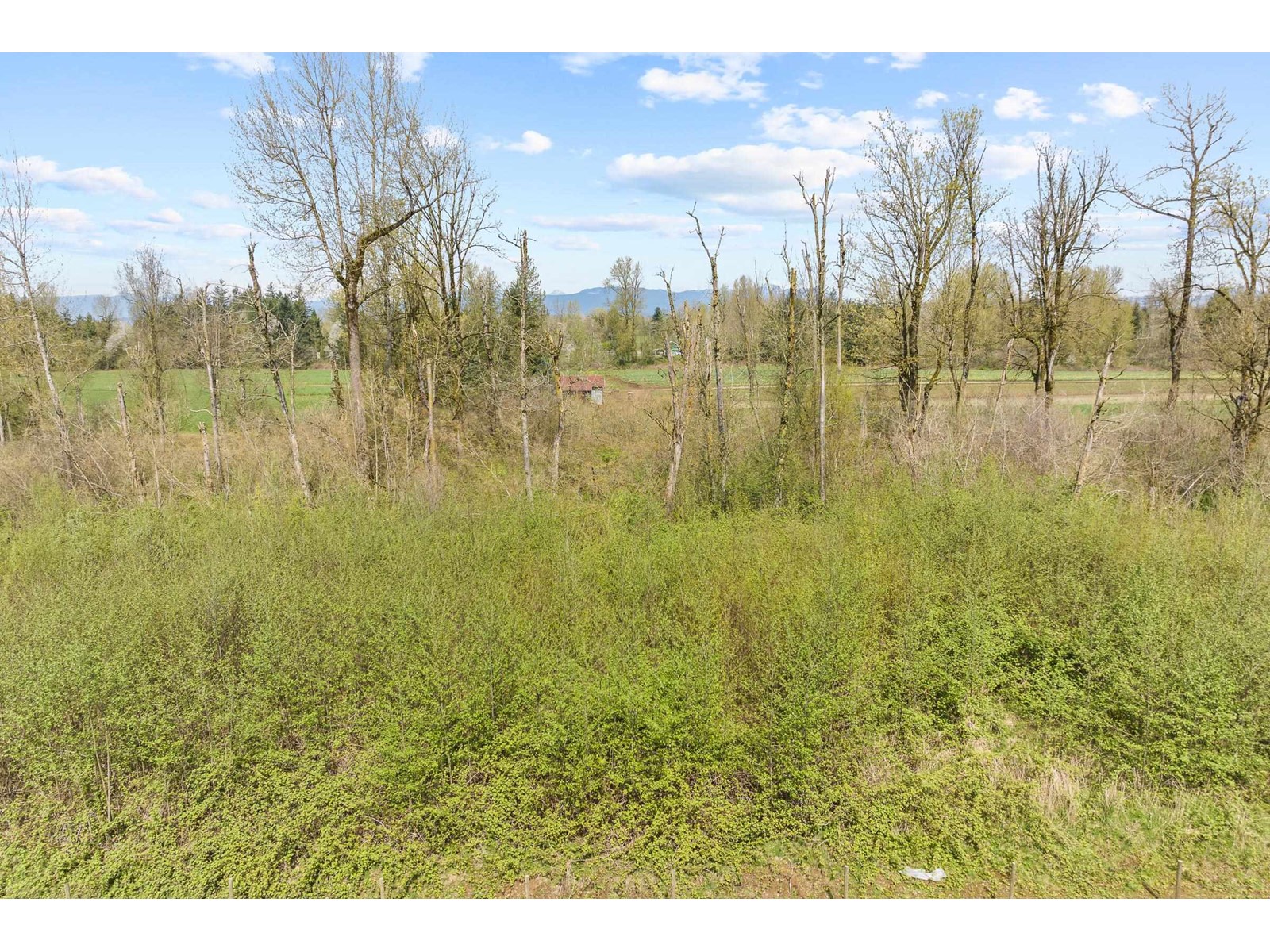 4162 Bradner Road, Abbotsford, British Columbia  V4X 1S8 - Photo 39 - R2991333