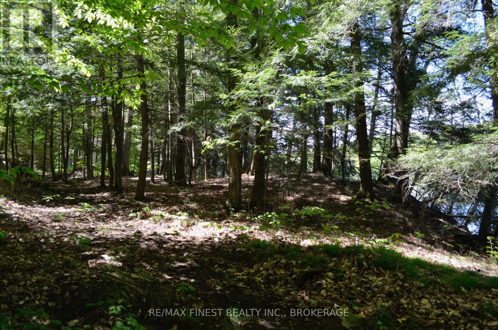 734 Sherbrooke Drive, Frontenac, Ontario  K0H 2B0 - Photo 14 - X12057710