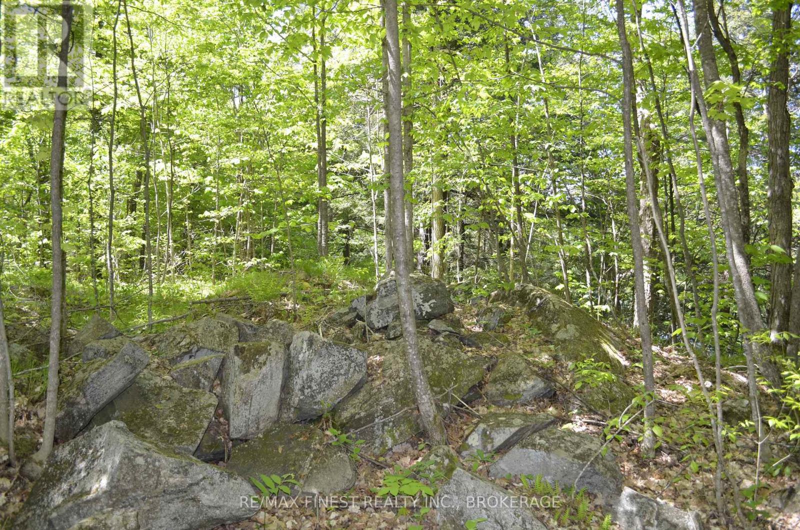 734 Sherbrooke Drive, Frontenac, Ontario  K0H 2B0 - Photo 3 - X12057710