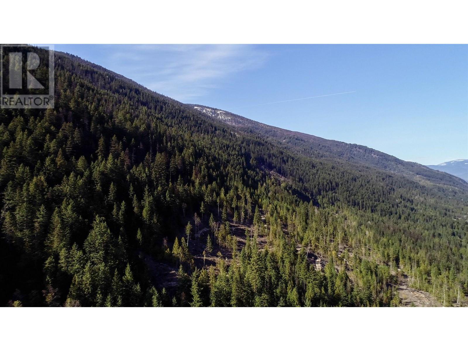 Dl 12488 Mckean Road, Appledale, British Columbia  V0G 2J0 - Photo 6 - 10344097