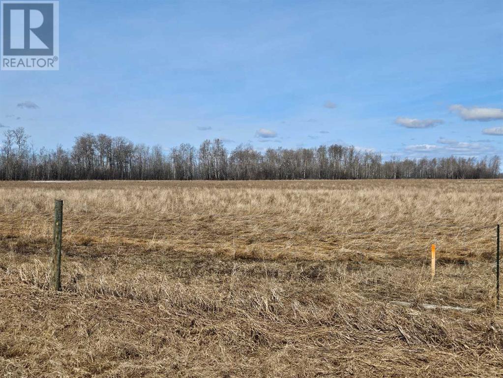 720 Twp Township, Debolt, Alberta  T0H 1B0 - Photo 5 - A2211550