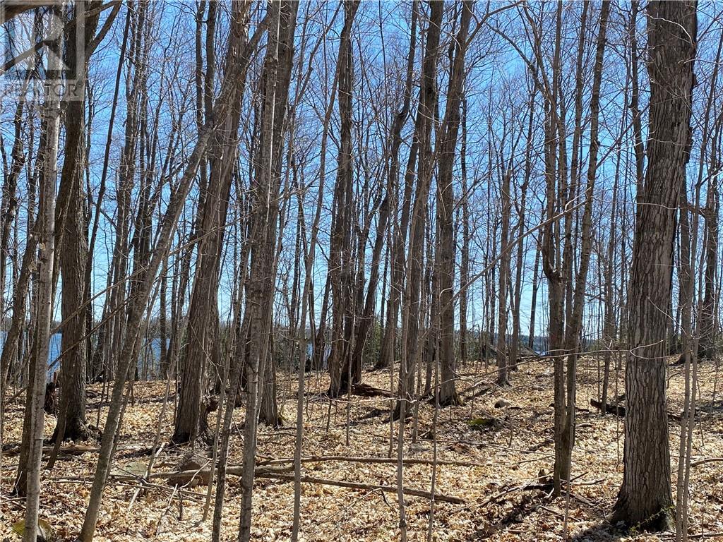 Lot 36 Ice Lake Drive, Gore Bay, Ontario  P0P 1H0 - Photo 8 - 2121640