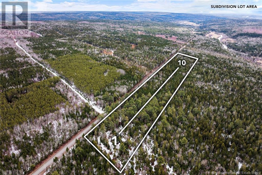 Lot 4 English Settlement Road, Taymouth, New Brunswick  O0O 0O0 - Photo 3 - NB116470