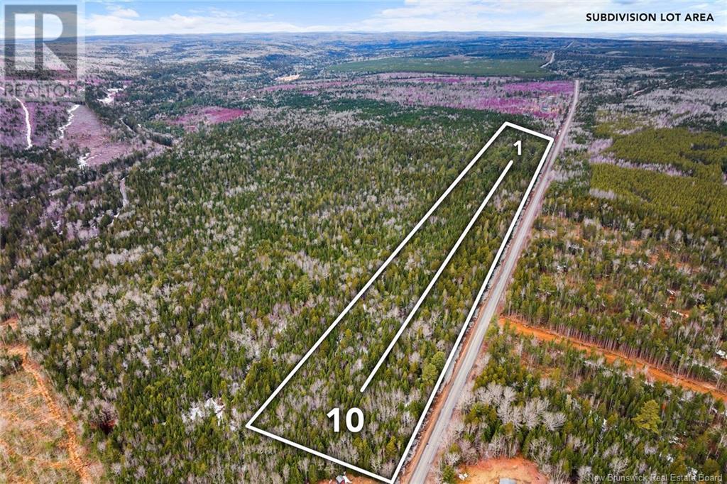 Lot 4 English Settlement Road, Taymouth, New Brunswick  O0O 0O0 - Photo 4 - NB116470