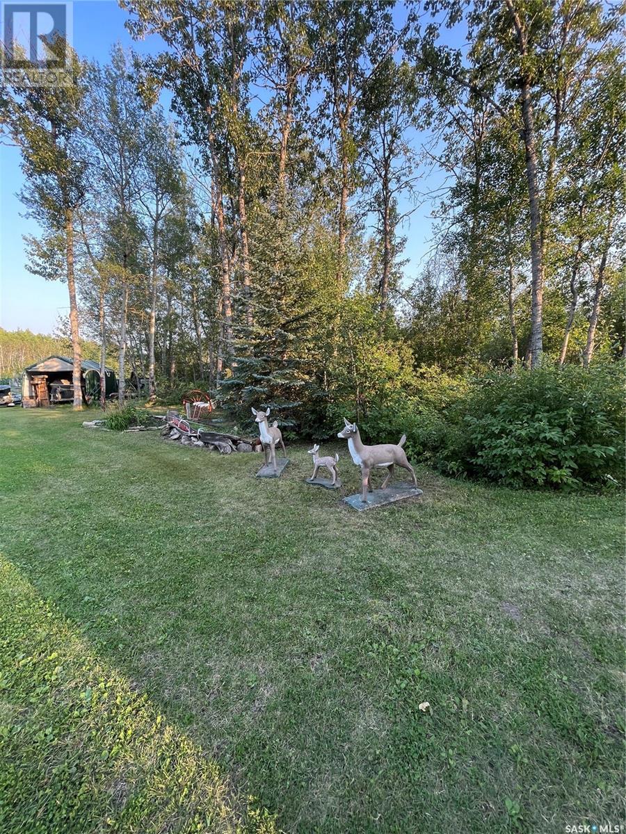35 Acres South, Hudson Bay Rm No. 394, Saskatchewan  S0E 0Y0 - Photo 39 - SK003100