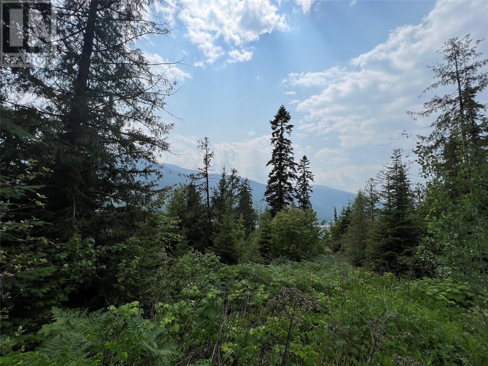 317 Mountainview Drive, Nelson, British Columbia  V1L 6W6 - Photo 13 - 10344137