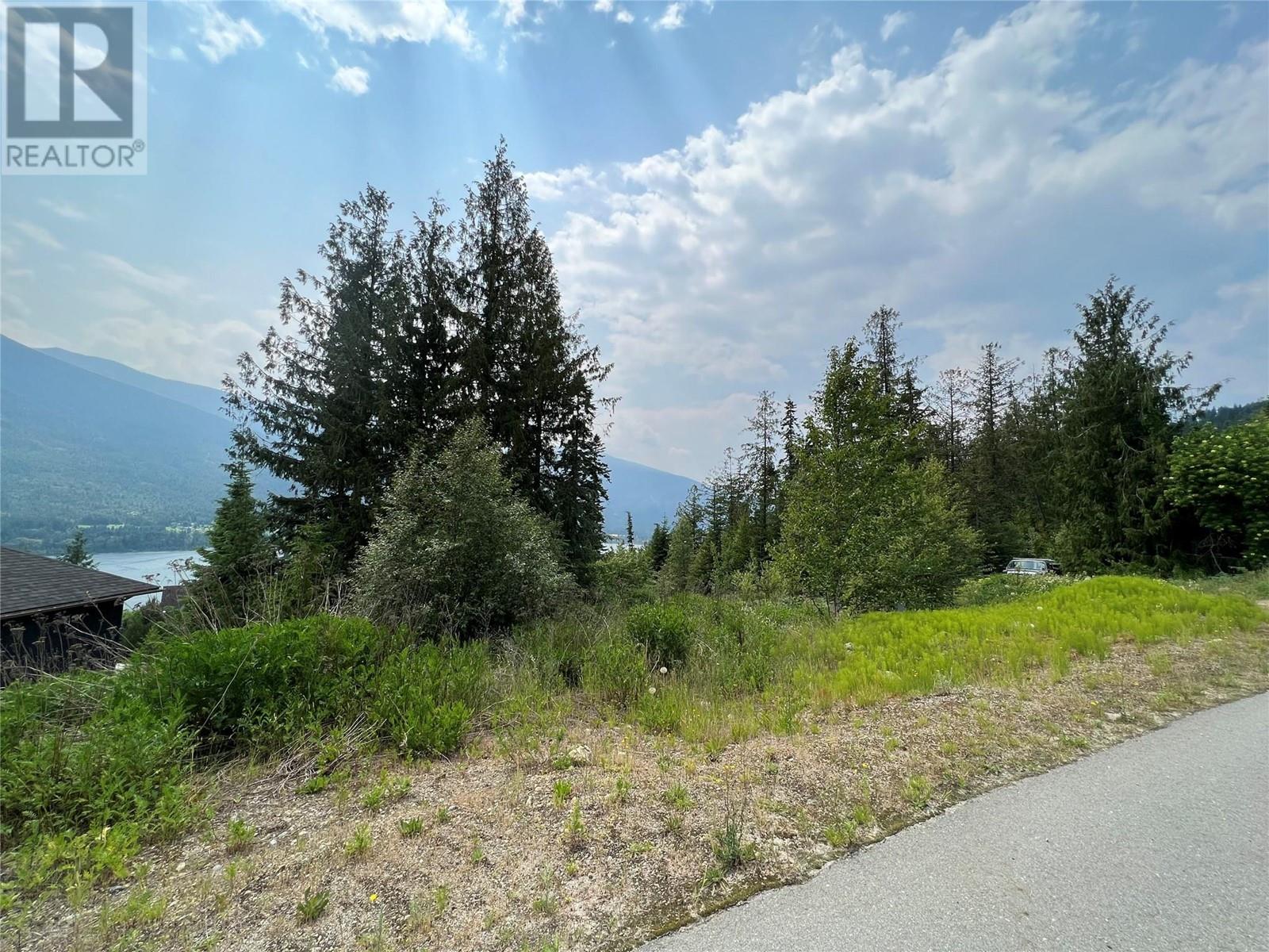 317 Mountainview Drive, Nelson, British Columbia  V1L 6W6 - Photo 17 - 10344137