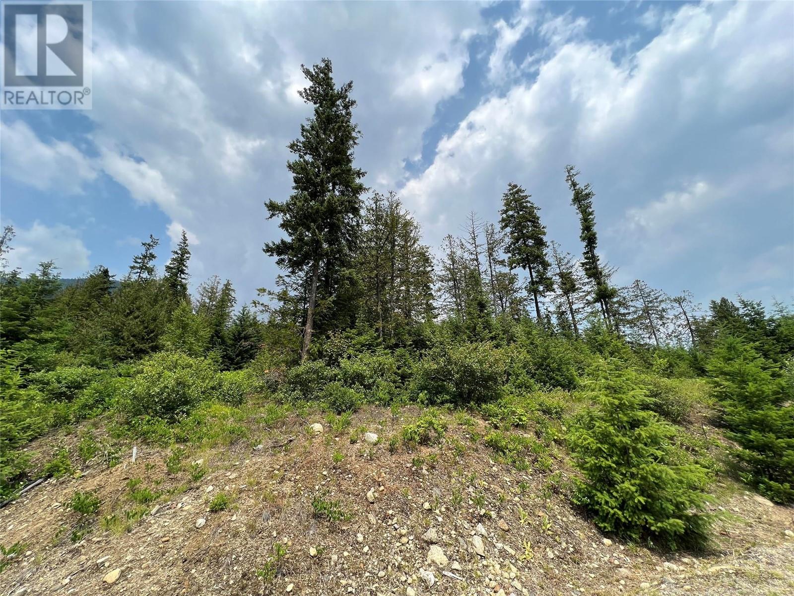 317 Mountainview Drive, Nelson, British Columbia  V1L 6W6 - Photo 2 - 10344137