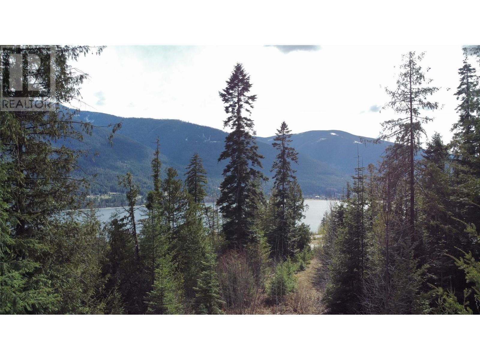 317 Mountainview Drive, Nelson, British Columbia  V1L 6W6 - Photo 20 - 10344137