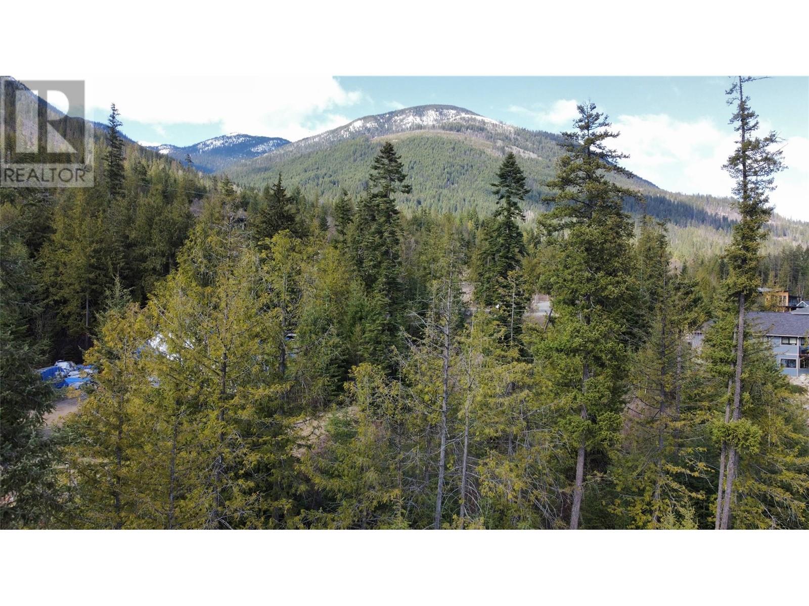 317 Mountainview Drive, Nelson, British Columbia  V1L 6W6 - Photo 22 - 10344137