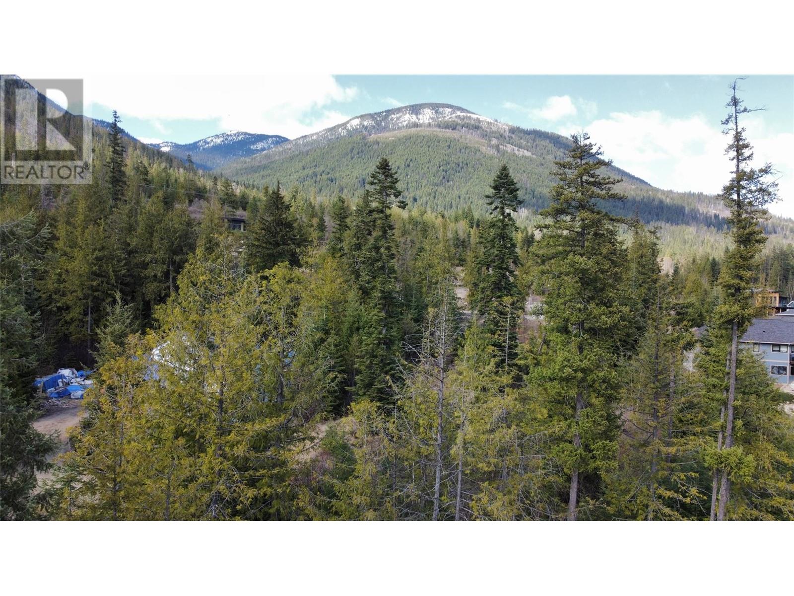 317 Mountainview Drive, Nelson, British Columbia  V1L 6W6 - Photo 23 - 10344137